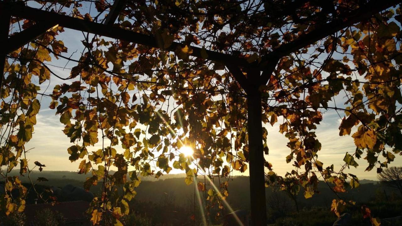 Quinta Do Sobral De Sao Geraldo别墅 外观 照片